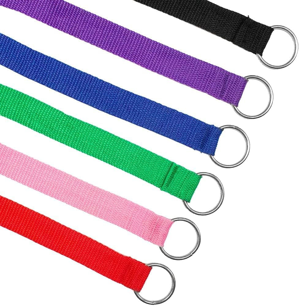 Slip Lead Dog Leash 12 Pack, 4' X 1/2" - Universal Dog Leash with Metal O Ring - Machine Washable for Groomers, Shelters, Rescues, Vets, or Doggy Daycares