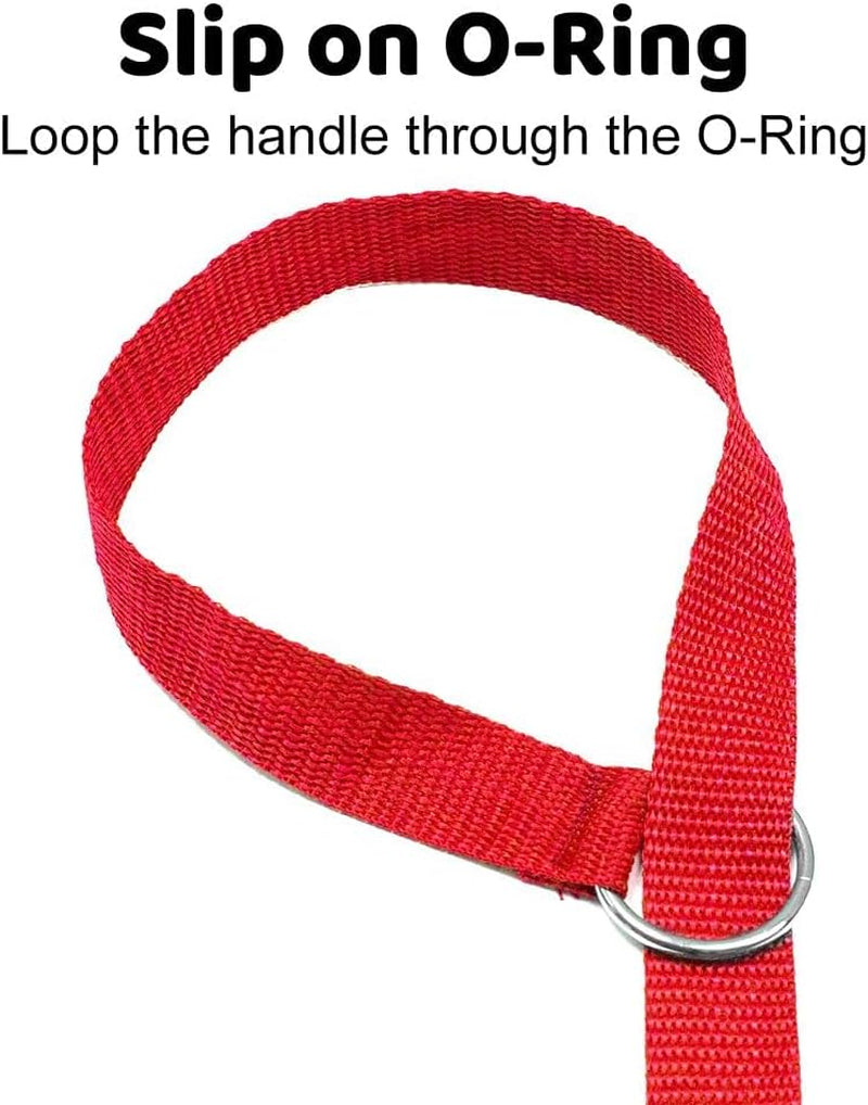 Slip Lead Dog Leash 12 Pack, 4' X 1/2" - Universal Dog Leash with Metal O Ring - Machine Washable for Groomers, Shelters, Rescues, Vets, or Doggy Daycares