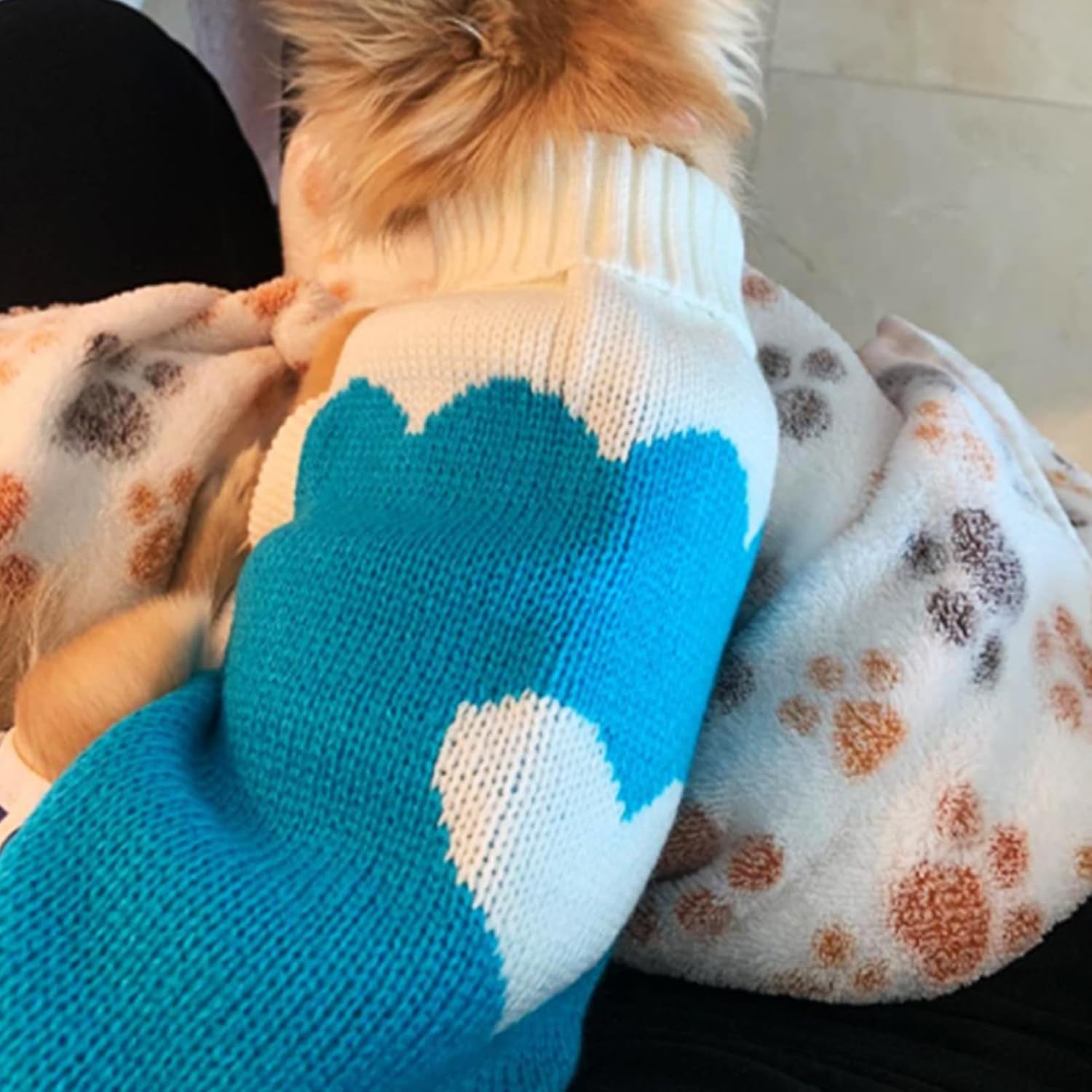 Pet Dog Sweaters Classic Knitwear Turtleneck Winter Warm Puppy Clothing Cut Strawberry and Heart Doggie Sweater (Sky Blue, Medium)