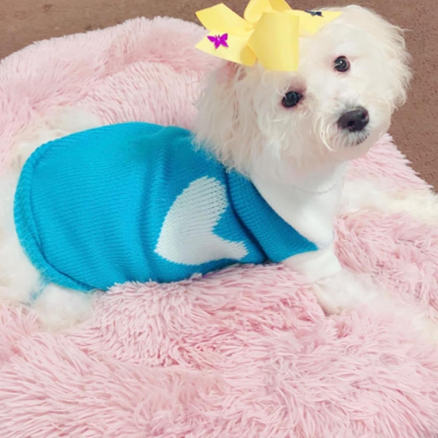 Pet Dog Sweaters Classic Knitwear Turtleneck Winter Warm Puppy Clothing Cut Strawberry and Heart Doggie Sweater (Sky Blue, Medium)