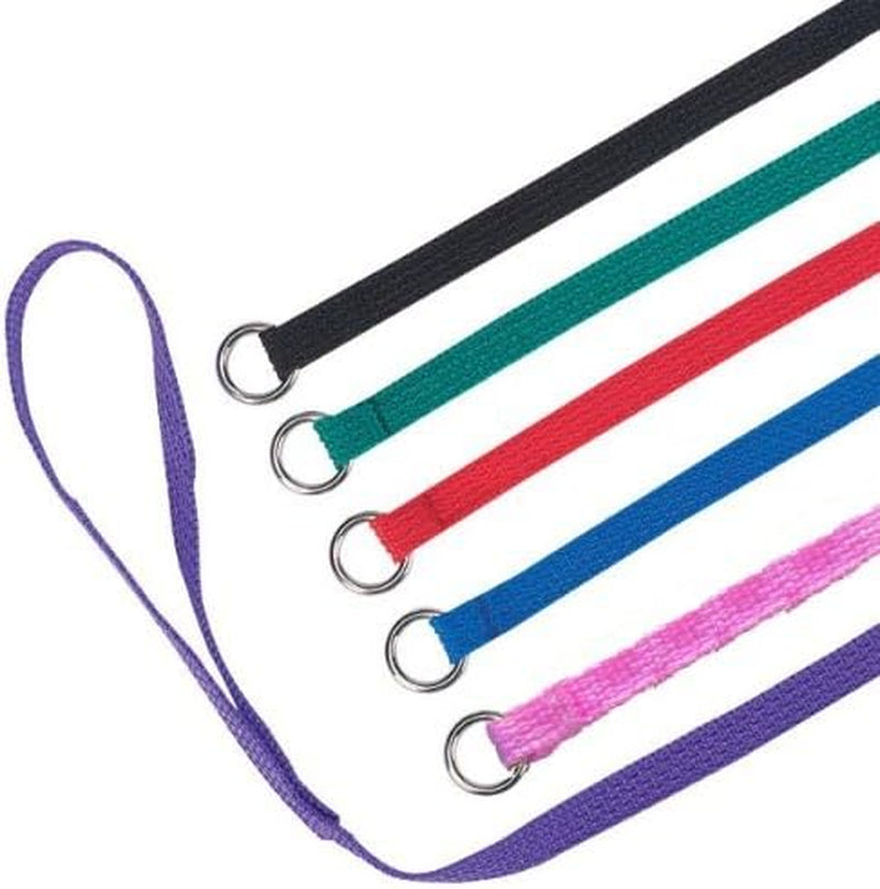 Slip Lead Dog Leash 12 Pack, 4' X 1/2" - Universal Dog Leash with Metal O Ring - Machine Washable for Groomers, Shelters, Rescues, Vets, or Doggy Daycares
