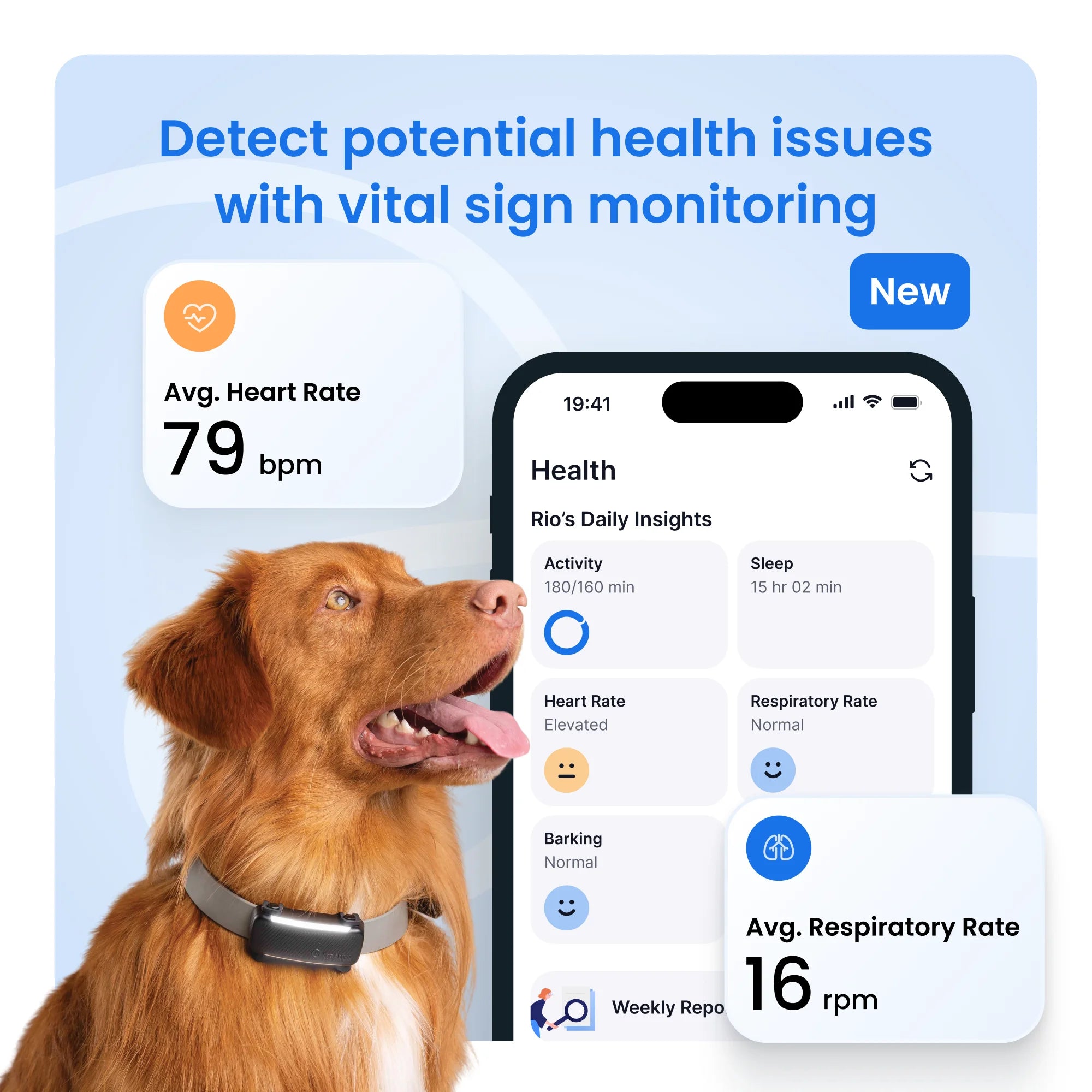 Smart GPS Dog Tracker with Vital Signs Monitoring (Mint)