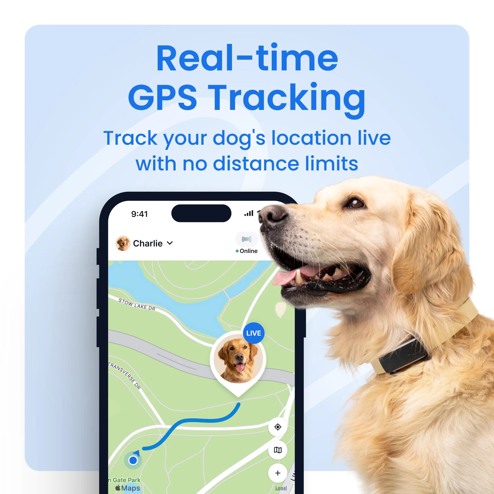 Smart GPS Dog Tracker with Vital Signs Monitoring (Black)